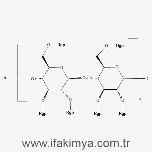Hidroksi Propil Metil Selüloz (HPMC)