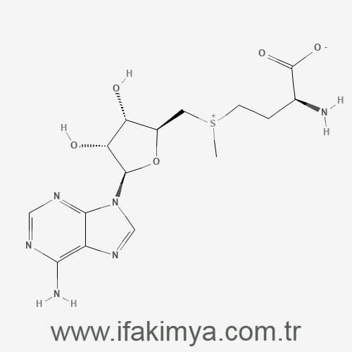 S-Adenosyl-L-Methionine SAMe tozu – yüksek saflıkta biyolojik bileşik | İFA Kimya tarafından tedarik edilen farmasötik kalite metilasyon ajanı